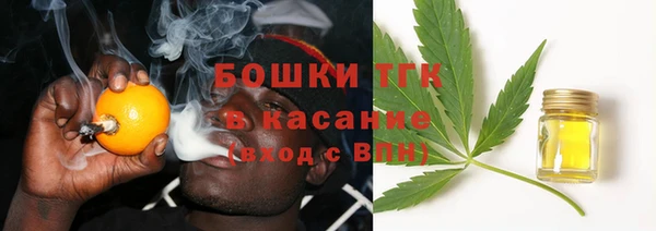 соль ск Зеленодольск