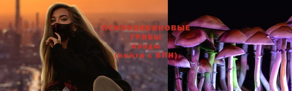 соль ск Зеленодольск
