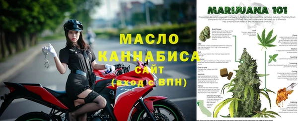 прущие грибы Рославль