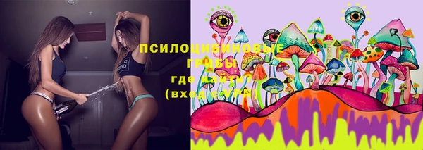 индика Иннополис