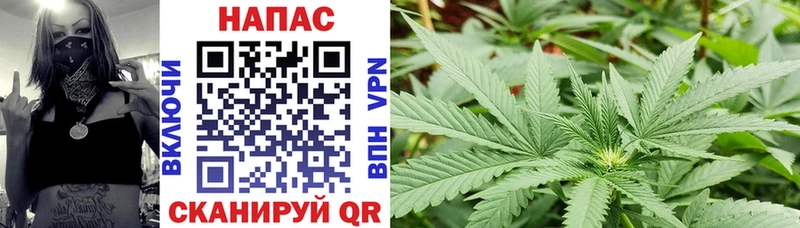 Купить  Ельня  Конопля конопля 